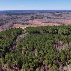 Photo #6 of SOLD property in Off Peninsula Lane, Bullock, NC 68.0 acres