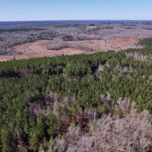 Photo #7 of SOLD property in Off Peninsula Lane, Bullock, NC 68.0 acres
