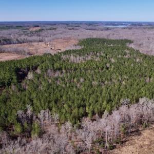 Photo #8 of SOLD property in Off Peninsula Lane, Bullock, NC 68.0 acres