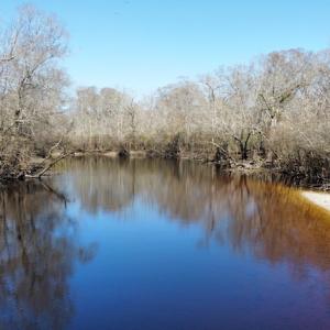 Photo #12 of SOLD property in Off Waccamaw Lane, Longs, SC 142.2 acres