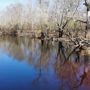 Photo #14 of SOLD property in Off Waccamaw Lane, Longs, SC 142.2 acres