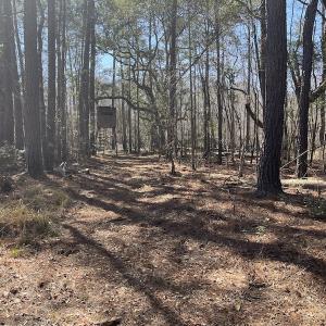 Photo #5 of SOLD property in Off Waccamaw Lane, Longs, SC 142.2 acres