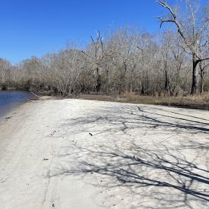 Photo #23 of SOLD property in Off Waccamaw Lane, Longs, SC 142.2 acres