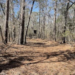 Photo #27 of SOLD property in Off Waccamaw Lane, Longs, SC 142.2 acres