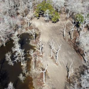 Photo #42 of SOLD property in Off Waccamaw Lane, Longs, SC 142.2 acres