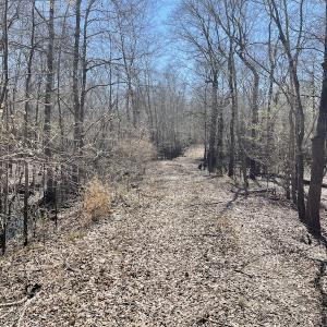 Photo #8 of SOLD property in Off Waccamaw Lane, Longs, SC 142.2 acres