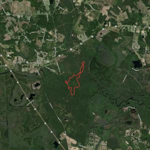 Photo #52 of SOLD property in Off Waccamaw Lane, Longs, SC 142.2 acres