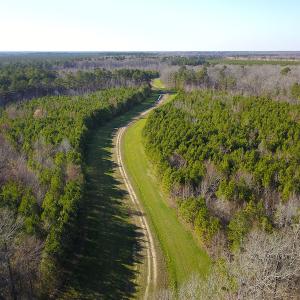 Photo #3 of SOLD property in Off Arrow Lane, Lewiston, NC 225.0 acres