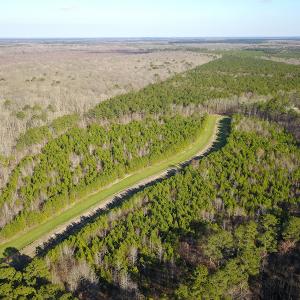 Photo #6 of SOLD property in Off Arrow Lane, Lewiston, NC 225.0 acres