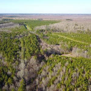 Photo #7 of SOLD property in Off Arrow Lane, Lewiston, NC 225.0 acres