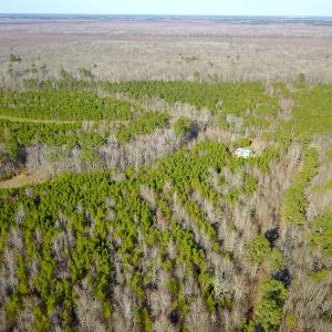 Photo #8 of SOLD property in Off Arrow Lane, Lewiston, NC 225.0 acres