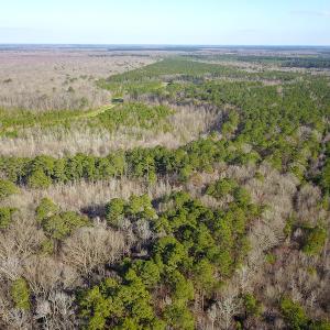 Photo #13 of SOLD property in Off Arrow Lane, Lewiston, NC 225.0 acres