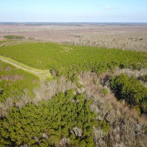 Photo #14 of SOLD property in Off Arrow Lane, Lewiston, NC 225.0 acres