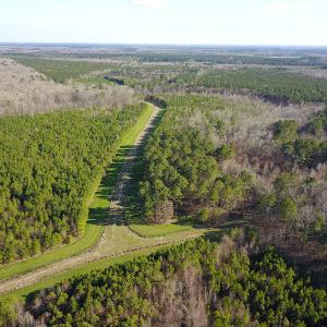 Photo #17 of SOLD property in Off Arrow Lane, Lewiston, NC 225.0 acres