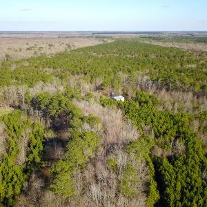 Photo #19 of SOLD property in Off Arrow Lane, Lewiston, NC 225.0 acres