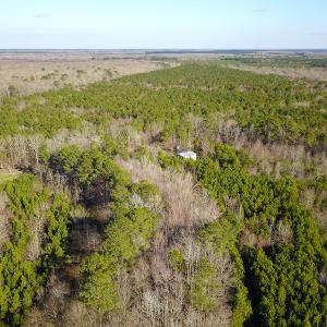 Photo #19 of SOLD property in Off Arrow Lane, Lewiston, NC 225.0 acres