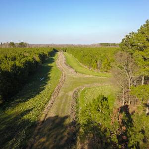 Photo #20 of SOLD property in Off Arrow Lane, Lewiston, NC 225.0 acres