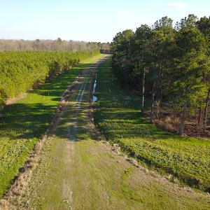 Photo #21 of SOLD property in Off Arrow Lane, Lewiston, NC 225.0 acres