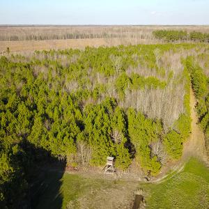 Photo #22 of SOLD property in Off Arrow Lane, Lewiston, NC 225.0 acres
