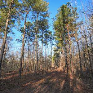 Photo #31 of SOLD property in Off Arrow Lane, Lewiston, NC 225.0 acres