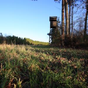 Photo #32 of SOLD property in Off Arrow Lane, Lewiston, NC 225.0 acres