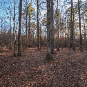 Photo #33 of SOLD property in Off Arrow Lane, Lewiston, NC 225.0 acres