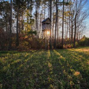 Photo #34 of SOLD property in Off Arrow Lane, Lewiston, NC 225.0 acres