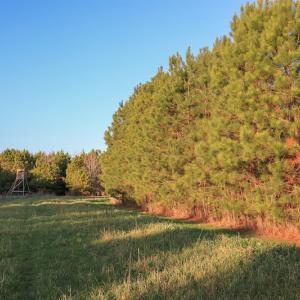 Photo #35 of SOLD property in Off Arrow Lane, Lewiston, NC 225.0 acres