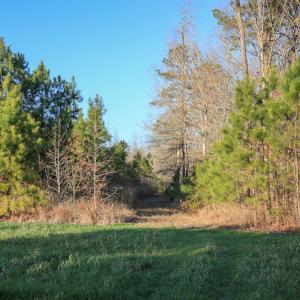 Photo #36 of SOLD property in Off Arrow Lane, Lewiston, NC 225.0 acres