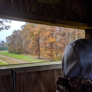 Photo #39 of SOLD property in Off Arrow Lane, Lewiston, NC 225.0 acres