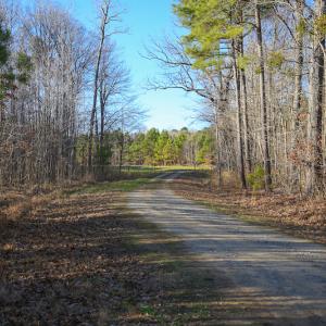 Photo #26 of SOLD property in Off Arrow Lane, Lewiston, NC 225.0 acres