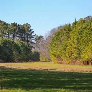 Photo #27 of SOLD property in Off Arrow Lane, Lewiston, NC 225.0 acres