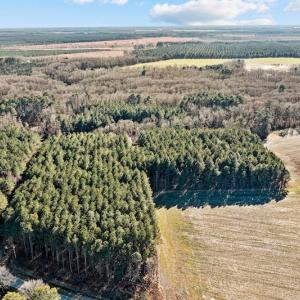 Photo #48 of SOLD property in 3173 Sheppard Mill Road, Stokes, NC 36.9 acres