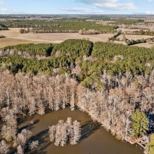 Photo #49 of SOLD property in 3173 Sheppard Mill Road, Stokes, NC 36.9 acres