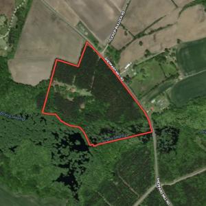 Photo #51 of SOLD property in 3173 Sheppard Mill Road, Stokes, NC 36.9 acres