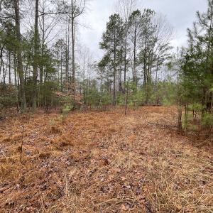 Photo #16 of SOLD property in Off Good Hope Road, Lanexa, VA 26.3 acres