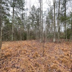 Photo #17 of SOLD property in Off Good Hope Road, Lanexa, VA 26.3 acres