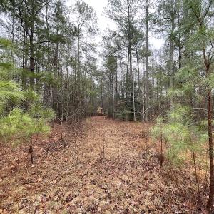 Photo #18 of SOLD property in Off Good Hope Road, Lanexa, VA 26.3 acres