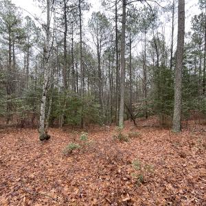 Photo #19 of SOLD property in Off Good Hope Road, Lanexa, VA 26.3 acres