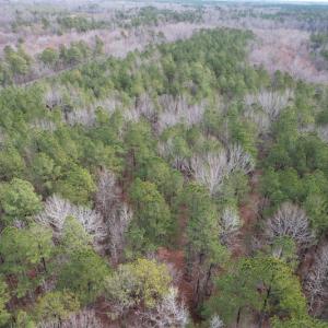 Photo #2 of SOLD property in Off Good Hope Road, Lanexa, VA 26.3 acres