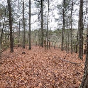Photo #23 of SOLD property in Off Good Hope Road, Lanexa, VA 26.3 acres