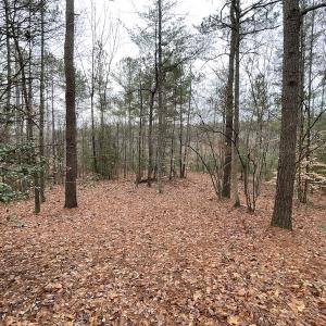 Photo #28 of SOLD property in Off Good Hope Road, Lanexa, VA 26.3 acres