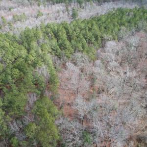 Photo #3 of SOLD property in Off Good Hope Road, Lanexa, VA 26.3 acres