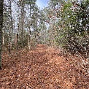 Photo #39 of SOLD property in Off Good Hope Road, Lanexa, VA 26.3 acres