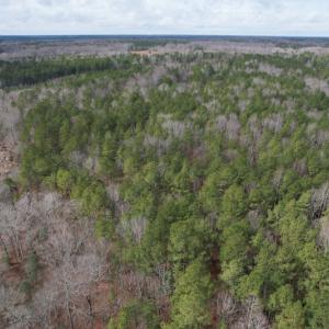 Photo #4 of SOLD property in Off Good Hope Road, Lanexa, VA 26.3 acres