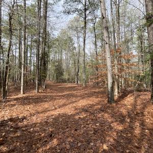 Photo #40 of SOLD property in Off Good Hope Road, Lanexa, VA 26.3 acres