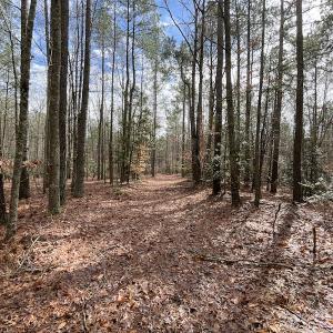 Photo #41 of SOLD property in Off Good Hope Road, Lanexa, VA 26.3 acres