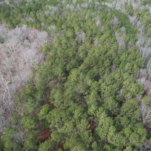 Photo #5 of SOLD property in Off Good Hope Road, Lanexa, VA 26.3 acres