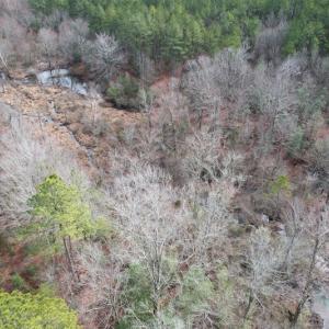 Photo #9 of SOLD property in Off Good Hope Road, Lanexa, VA 26.3 acres