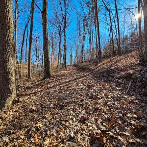 Photo #23 of 3562 Summerset Road North, Gretna, VA 1.2 acres